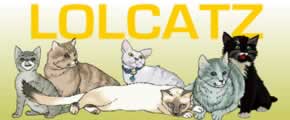 LOL Catz